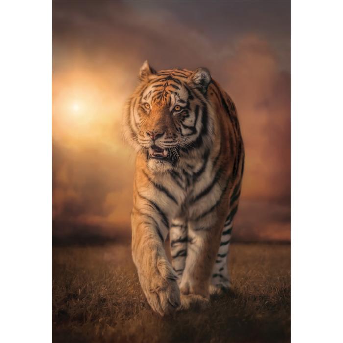 Puzzle Clementoni-39773 Tiger