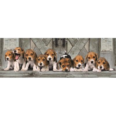 Puzzle  Clementoni-39869 Beagles