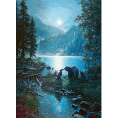 Puzzle  Cobble-Hill-40008 Bear Night