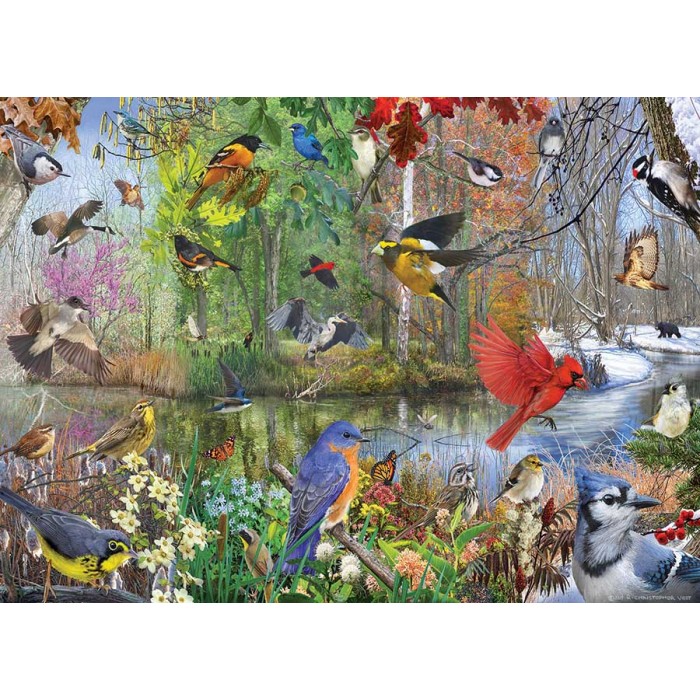 Puzzle Cobble-Hill-40163 Birds of the Season