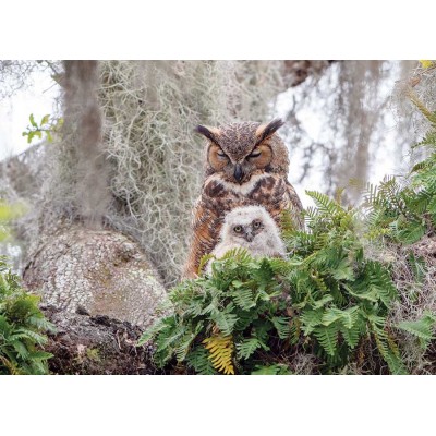 Puzzle  Cobble-Hill-40176 Great Horned Owl