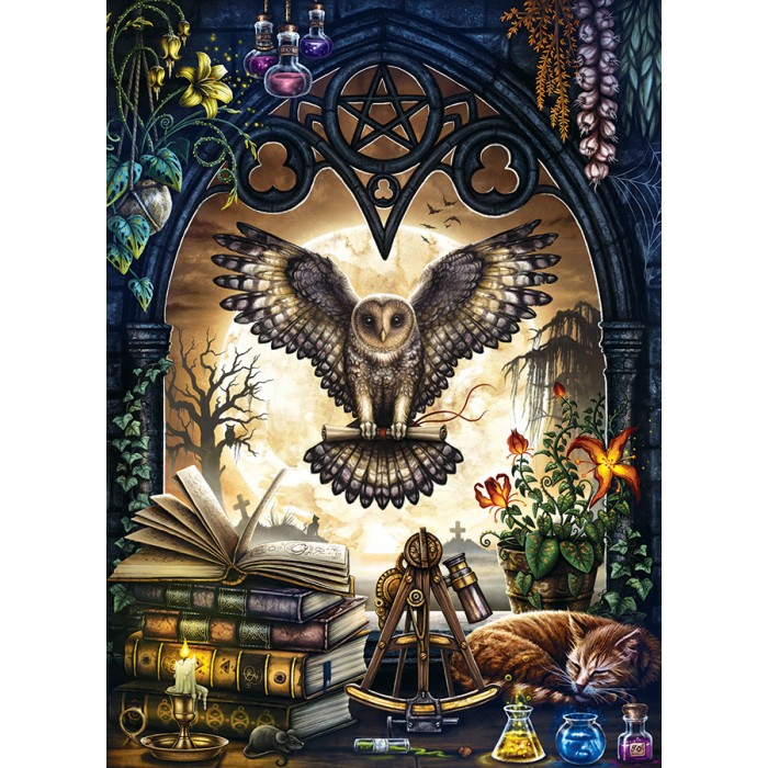 Puzzle Cobble-Hill-40294 The Summons