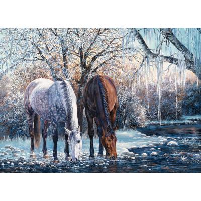 Puzzle  Cobble-Hill-45056 Winter's Beauty