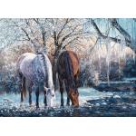 Puzzle  Cobble-Hill-45056 Winter's Beauty