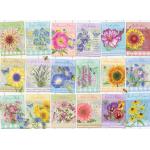 Puzzle  Cobble-Hill-45080 Seed Packets