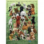 Puzzle  Cobble-Hill-47007 Family - Welpen