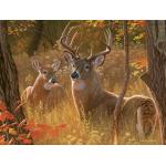 Puzzle  Cobble-Hill-48025 Rendezvous Secret