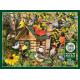 Bird Cabin