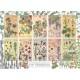 Botanicals by Verneuil