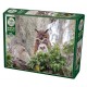 Great Horned Owl