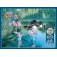 Iris Cove Loons