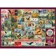 National Birds of the World