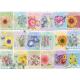 Seed Packets