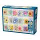 Seed Packets
