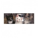 Puzzle  Dino-39333 XXL Pieces - Three Kittens