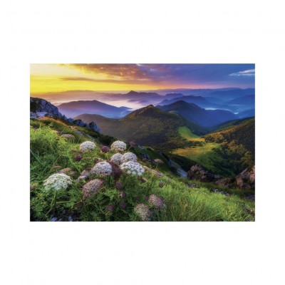 Puzzle  Dino-50270 Mala Fatra