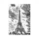 Black and White Eiffel Tower