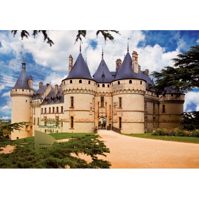 DToys-69542 Jigsaw Puzzle - 1000 Pieces - Castles of France : Château de Chaumont