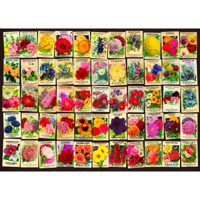 Puzzle  Dtoys-74492 Vintage Collage - Flowers