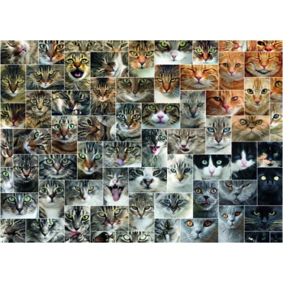 Puzzle  Dtoys-75260 Collage - Cats