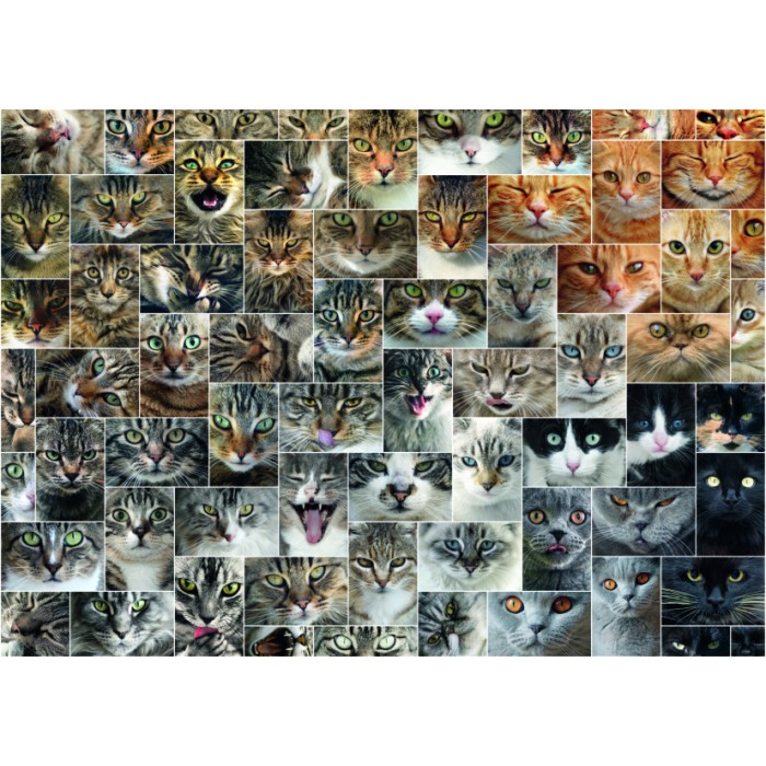 Puzzle Dtoys-75260 Collage - Katzen