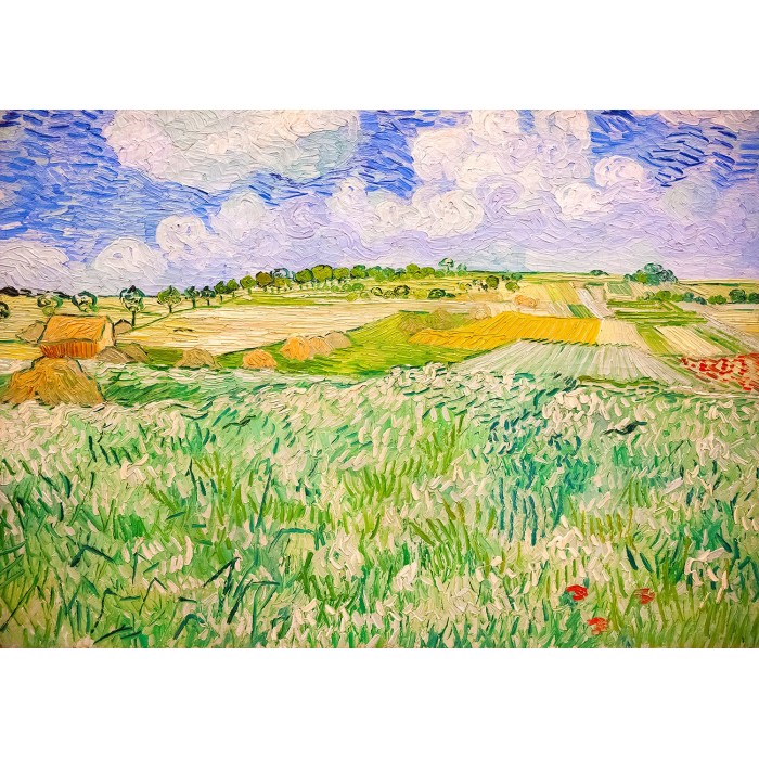 Puzzle Enjoy-Puzzle-1176 Vincent Van Gogh : Plaine près d'Auvers