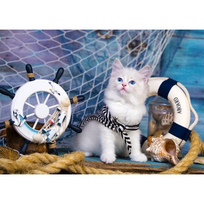 Puzzle  Enjoy-Puzzle-1329 Captain Kitten