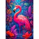Das Wunder des Flamingos