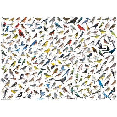 Puzzle  Eurographics-6000-0821 The World of Birds