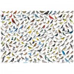 Puzzle  Eurographics-6000-0821 The World of Birds