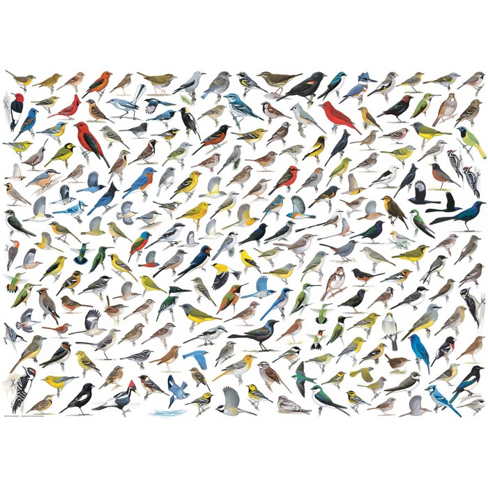 Puzzle Eurographics-6000-0821 Le Monde des Oiseaux