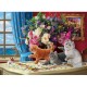 Chats Curieux