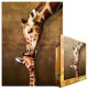 The mother Giraffe and its girafon