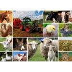 Puzzle  Grafika-F-30027 Collage - Farmyard Animals