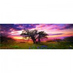  Heye-29472 Jigsaw Puzzle - 2000 Pieces - Panoramic - Alexander von Humboldt : The Oak Tree