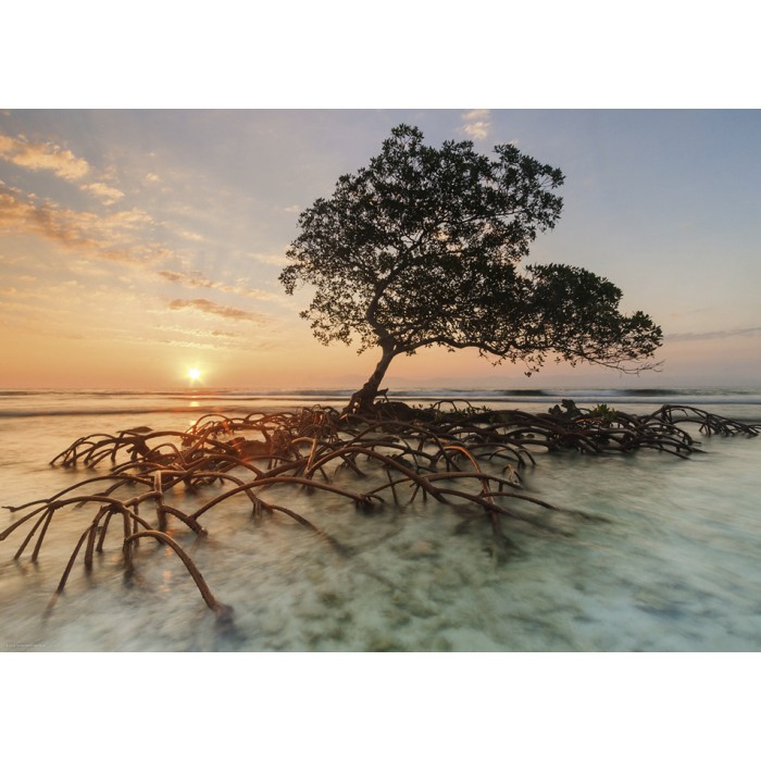 Puzzle Heye-29856 Red Mangrove