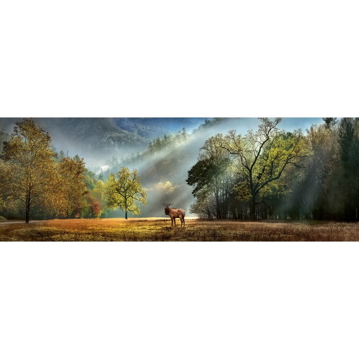 Puzzle Heye-29947 Morning Salute