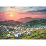 Puzzle  Heye-29977 Sheep and Volcanoes