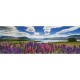 Lake Tekapo