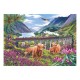 Glenfinnan Ladies