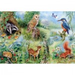 Puzzle  House-Of-Puzzles-HP0144 Pièces XXL - Etude Naturelle