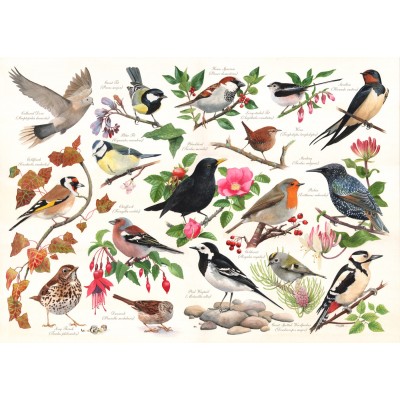 Puzzle  House-Of-Puzzles-HP0471 Birds In My Garden
