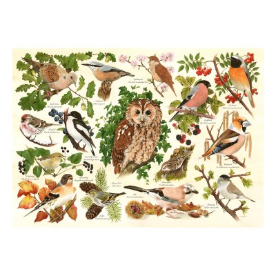 Puzzle  House-Of-Puzzles-HP0626 XXL Pieces - Woodland Birds