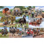 Puzzle  House-Of-Puzzles-HP0640 The Heavy Mob