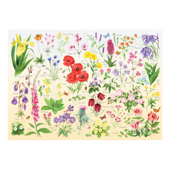 Puzzle House-Of-Puzzles-HP0705 Wildblumen