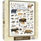 Mammals of Yellowstone National Park