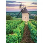 Puzzle  Nathan-00898 Moulin Sorine - Vignoble de Santenay - Bourgogne