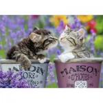 Puzzle  Nathan-00918 Bisous de Chatons