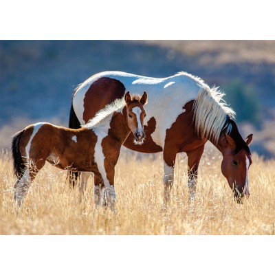 Puzzle  Nathan-00928 Mare and Her Foal