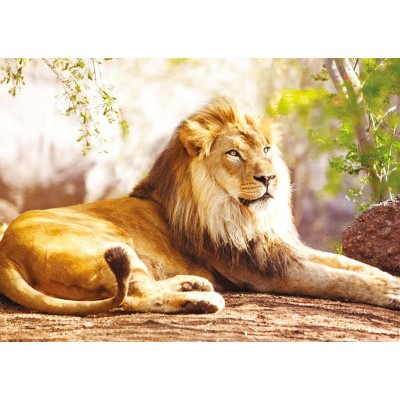 Puzzle  Nathan-00951 The King of the Savannah